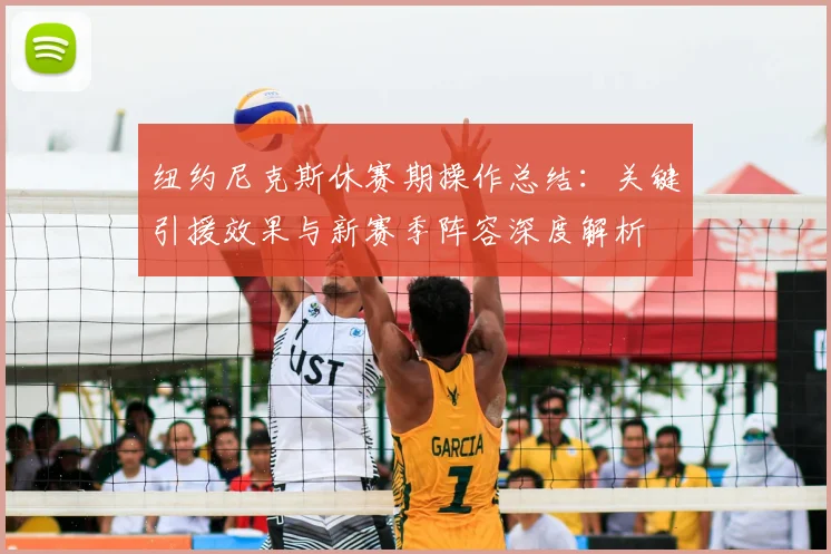 纽约尼克斯休赛期操作总结：关键引援效果与新赛季阵容深度解析